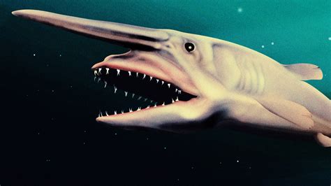 goblin fish by BeamishGorgon5 .